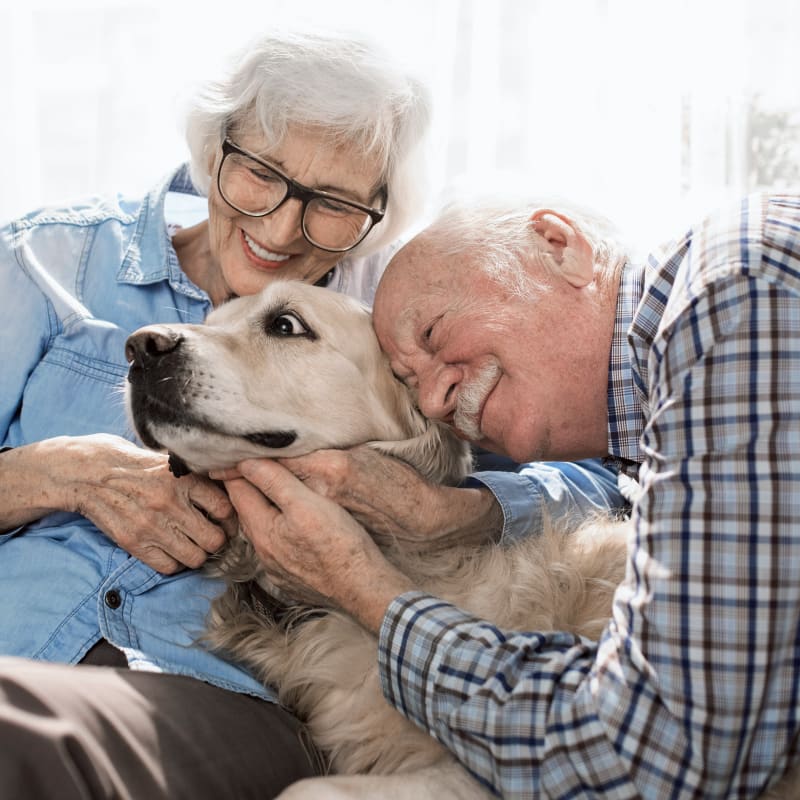 Geriatric Care for Pets, Greater Victoria